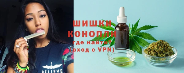 spice Печоры