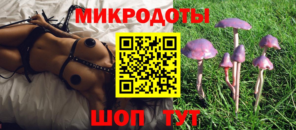 Петрозаводск  Галлюциногенные грибы мухоморы  Псилоцибиновые грибы MAGIC MUSHROOMS  Вход с VPN 