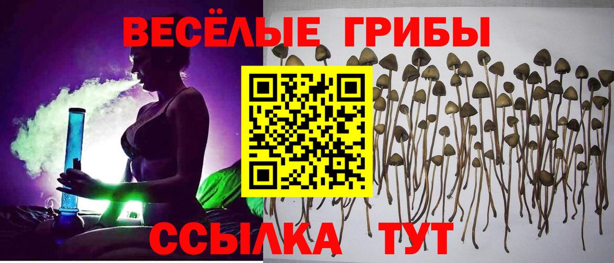 Галлюциногенные грибы мицелий Петрозаводск
